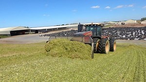 Corn silage pile in South Dakota. Another video from last August I need to edit for YouTube. | Farmhand Mike
