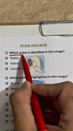Identifying Pulse Sites: A Quick Quiz for Medical Students