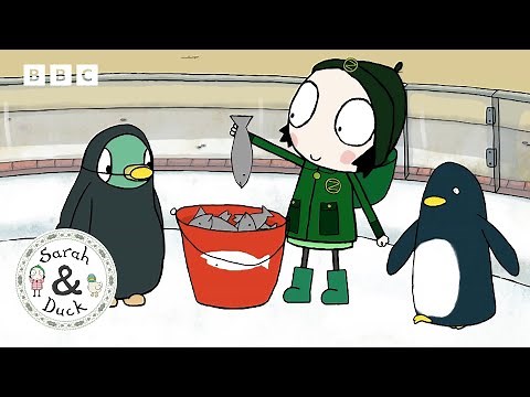 Sarah, Duck and the Penguins | Full Episode | Sarah and Duck Official