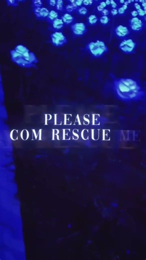 bubble bee song lyrics #viral #lyrics #music #homepage #nobatidao #views #song #channel #home