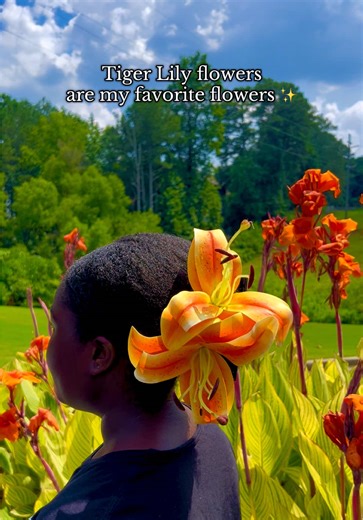 ✨ Clips back in stock ! Link in bio 🍓🥝✨ #locs #locstyles #clawclip #trending #fyp