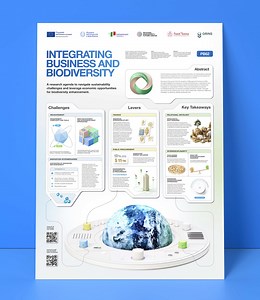Infrographic Academic Poster Design - Prznt Perfect Pitch Decks