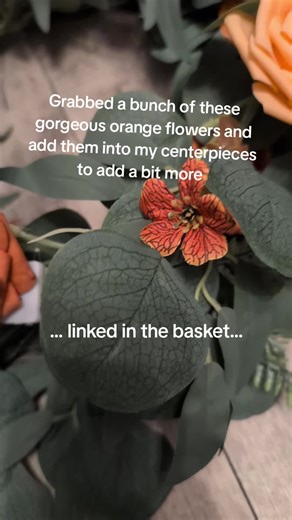 Budget-Bride (@budgetbride2b)’s videos with 5 Minutes - Don Diablo & Pink Sweat$