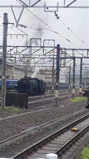 D51498構内試運転‼️「2026.8.12(水)」「群馬、高崎、JR高崎駅、7.8番線」