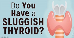 Food Can Improve or Worsen Thyroid Function