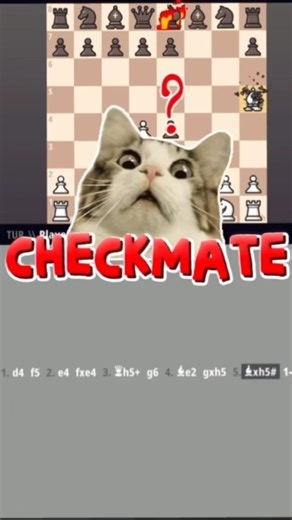 Fastest Checkmate in Chess – 9 Move Checkmate