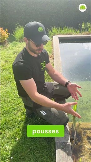 Are Your Pond Plants Dead? #shorts