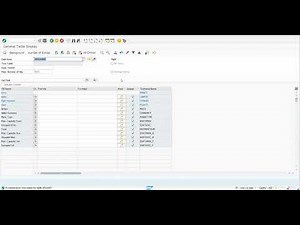 2.4 SAP ABAP Workflow - Demo 3 Execute workflow through Program