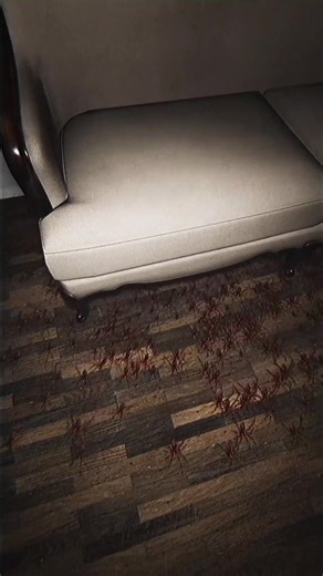 Arachnophobia #spider | The Phobia