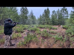 Shooting AR-15 at tanerite explosive target