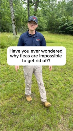Why are fleas impossible to get rid of⁉️
