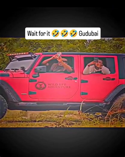 Msituni Kidogo shooting vidioos 🤪🤪 | Denis Kimathi