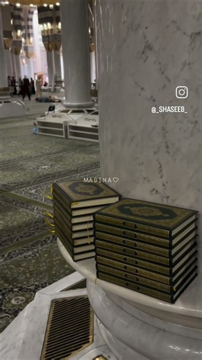 #hajj #hajjandumrah #islamictravel #like#hajj#umrah #love #subscribe #plane #veiws #like #