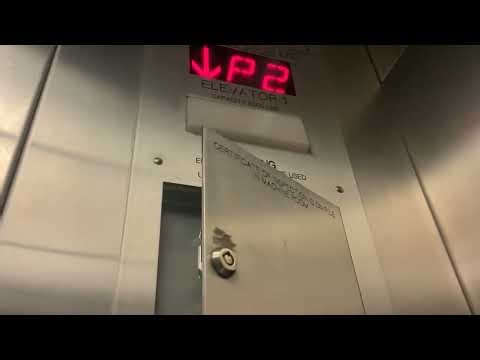 (Title in Description) (2/28/2026)