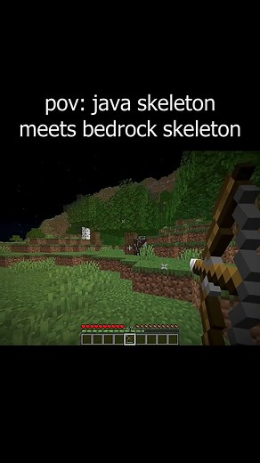 pov java skeleton meets bedrock skeleton #minecraft #minecraftmemes #minecraftbuilds #minecraftpe #minecraftmods | Life is Game