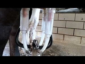 Donna Merrill Farm using UdderOne™