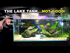 THE LAKE TANK AFTER 2 WEEKS!! (HUGE MESS)