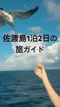 20年ぶりに訪れた佐渡島！絶景・グルメ・自然を1泊2日でぐるっと満喫してきました🚗✨#佐渡島 #旅行vlog #佐渡観光 #絶景 #automobile #japan #japantravel