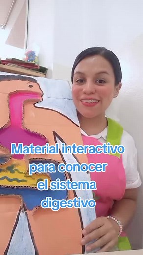 Material Interactivo para Entender el Sistema Digestivo