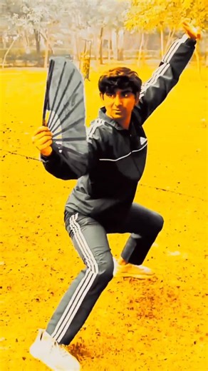 Shaolin kungfu fan fighting form #kungfu