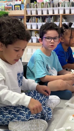 Kindergarten Apple Unit: Host An Apple Party With Your Kids