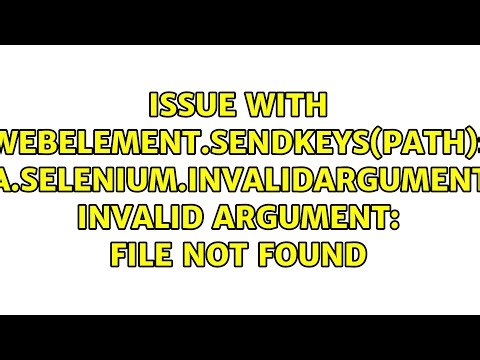 org.openqa.selenium.InvalidArgumentException: invalid argument: File not found