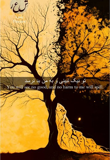 شعر عاشقانه و حکایت‌های فلسفی در ادبیات فارسی