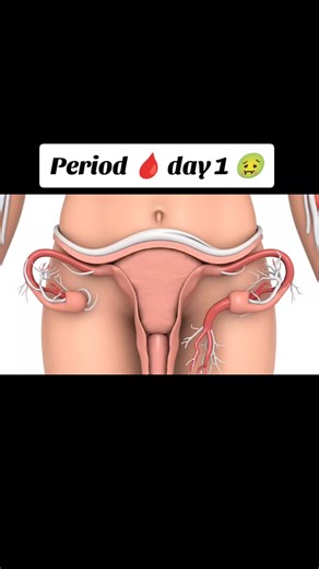 Understanding Red Blood Discharge During Menstruation