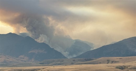 More than 900 personnel working to contain the Elk Fire in Wyoming