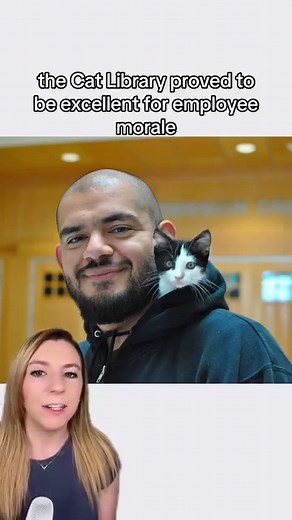 Employees can “check out” a kitten at their office Cat Library to take back to their desks for stress relief and companionship. 🐈 The Cat Library was established by the Doña Ana County government office in partnership with their Animal Services department. 🐈‍⬛ The adoptable kittens get socialization in a calm environment, making them more likely to be adopted. 🐈 Hundreds of kittens have found their forever homes through the Cat Library! 🐈‍⬛ 📸 Dona Ana County Government Center / CBS Evening 