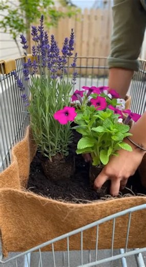 DIY Garden Cart Planter 🌸 Amazing Backyard Flower Idea | Creative Garden Transformation