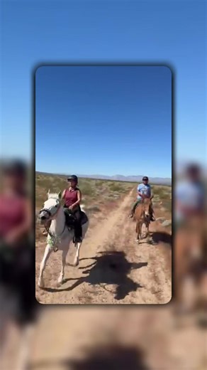 Enya was absolutely incredible today at the Mt. Laurel Endurance Race 🌟 From tough trails to triumphant moments — so proud of this brave, beautiful mare. #risingwithenya #arabianhorsesoftiktok #endurance #whitehorse @candeecoffee @100XEquine @2K Tack & Co. @Luke Combs #enduranceriding