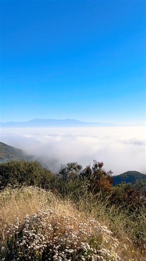 Skyline Trail