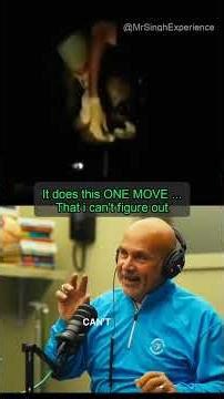 Alien in Alien Interview is Not Puppet #Extraterrestrial #shorts