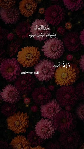 💫 When we follow the way of Prophet Muhammad (ﷺ), life becomes easier.