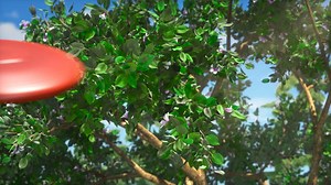 305K views · 5.4K reactions | Animando a Oso殺 | Masha y Oso | Facebook