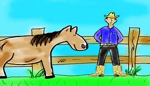 Watch How to Buy Horse Riding Boots on Amazon Live