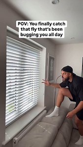 When the fly is dumb enough to go behind the blinds… ⠀⠀⠀⠀⠀⠀⠀⠀⠀⠀⠀⠀ ⠀⠀⠀⠀⠀⠀⠀⠀⠀⠀⠀⠀ ⠀⠀⠀⠀⠀⠀⠀⠀⠀⠀⠀⠀ ⠀⠀⠀⠀⠀⠀⠀⠀⠀⠀⠀⠀ ⠀⠀⠀⠀⠀⠀⠀⠀⠀⠀⠀⠀ ⠀⠀⠀⠀⠀⠀⠀⠀⠀⠀⠀⠀ #reaction #comedy #explorepage | theofficial_azz