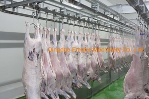 [Hot Item] Sheep Goat Manual Convey Rail Plan Layout Requirements Slaughtering Machine