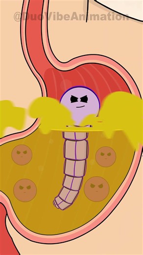 How a Tapeworm Survives Your Digestive System?