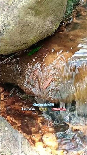 Creek Relaxation | Glenbrook NSW Australia #nature #relaxation #travel #australia #shorts