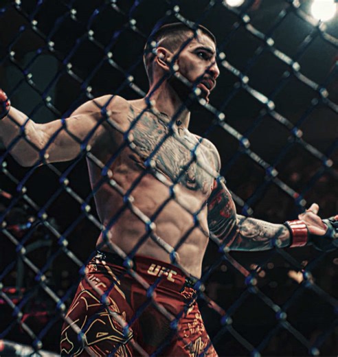Experience the Thrill of UFC Fights in Stunning 4K