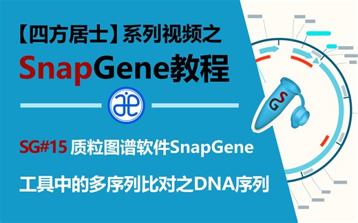 【四方居士】SG#15质粒图谱软件Snapgene工具中的多序列比对之DNA序列