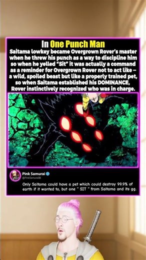 Saitama Disciplines Overgrown Rover in One Punch Man