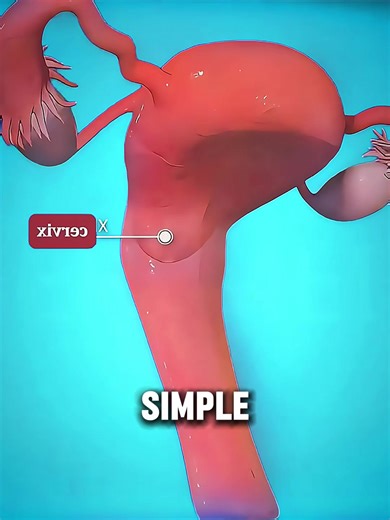 Pap Smear Test: How Cervical Cancer Is Detected Early #papsmear #cervicalcancer #earlydetection #womenshealthcare #medicalanimation