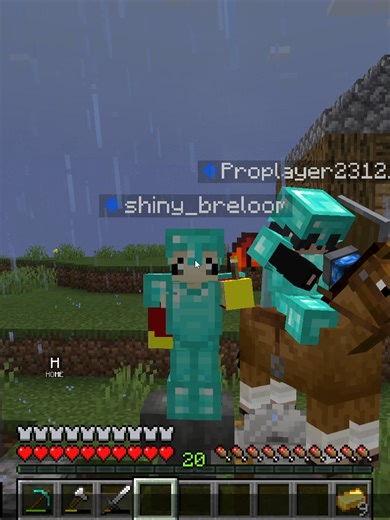 Cobblemon nether shenanigans 1/2 #cobblemon #pokemon #minecraft @dean13150 i crashed