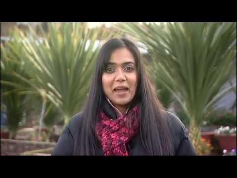 Tikkabilla 2003 Christmas Special