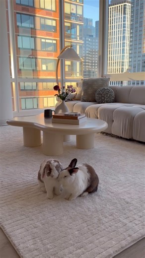 Ruggable on Instagram: "Soft bunnies. Softer rug. Who knew doom scrolling could feel this good? 🤍☁️ Comfort where it counts — meet our newest Plush All-in-One rug in Arlo Soft White. @thebrekkiebuns"