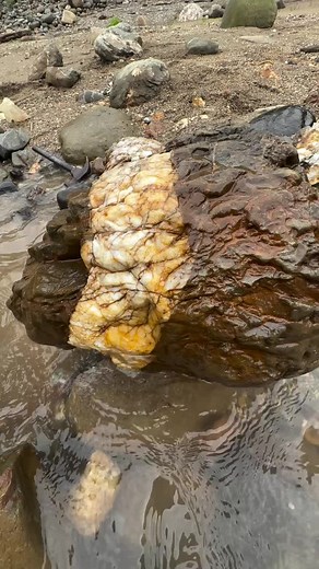 Gold Prospecting for Beginners: Finding Gold in Sand
