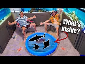 BEACH POND INSIDE MY PARENTS HOUSE... (fish inside)